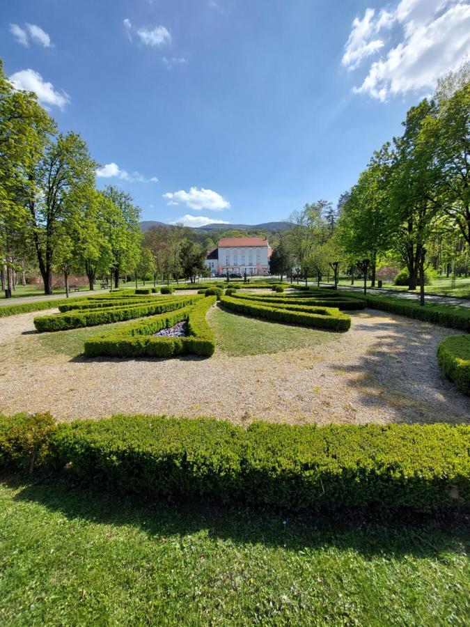 ホテル Aleks Sobe Banja Koviljača エクステリア 写真