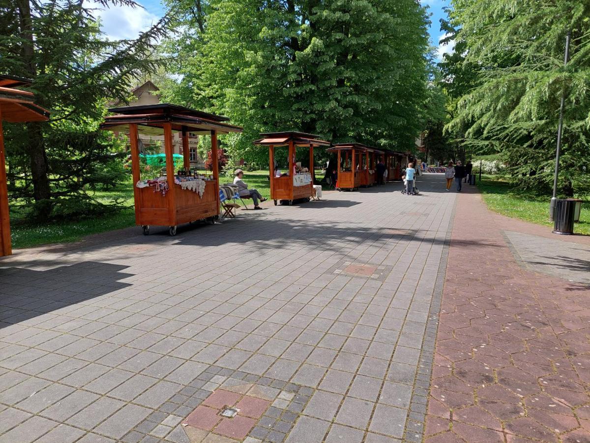 ホテル Aleks Sobe Banja Koviljača エクステリア 写真