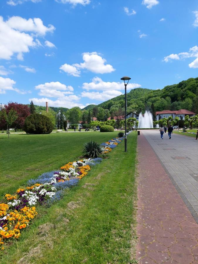 ホテル Aleks Sobe Banja Koviljača エクステリア 写真