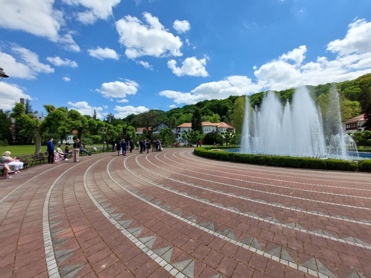 ホテル Aleks Sobe Banja Koviljača エクステリア 写真