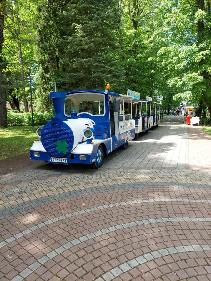 ホテル Aleks Sobe Banja Koviljača エクステリア 写真
