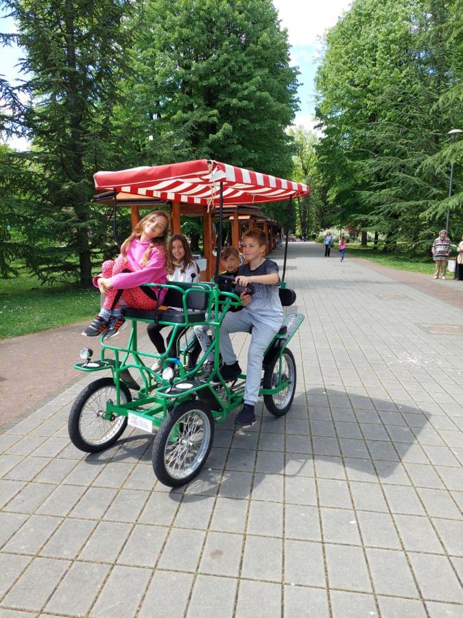 ホテル Aleks Sobe Banja Koviljača エクステリア 写真